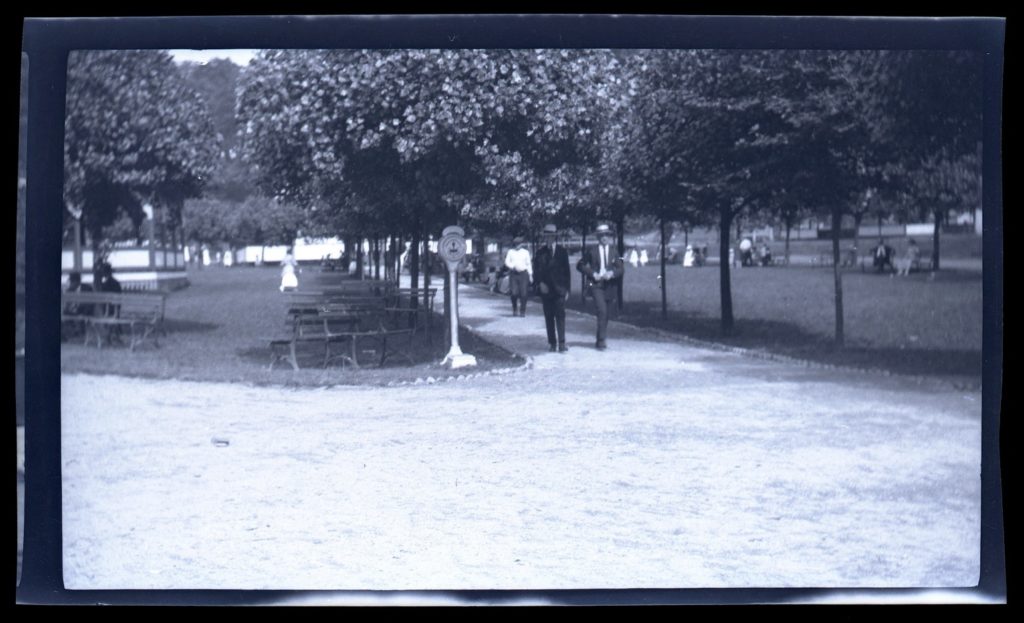 Grounds at Oakford Park showing picnic tables and people strolling