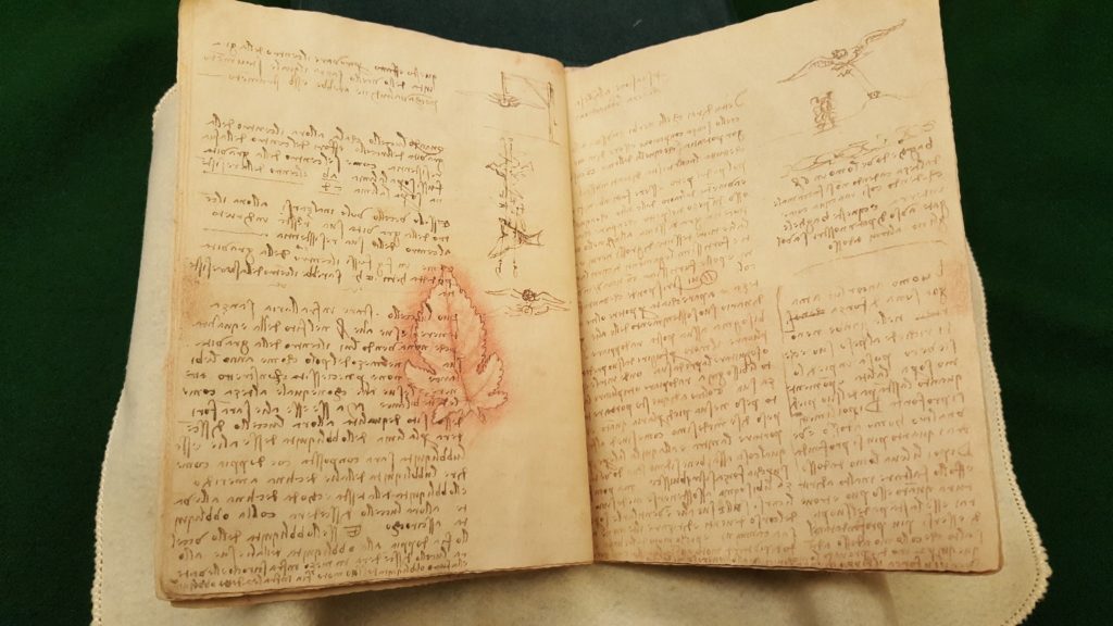 Page of Codice del Volo showing Leonardo da Vinci's drawing of a leaf on top of text