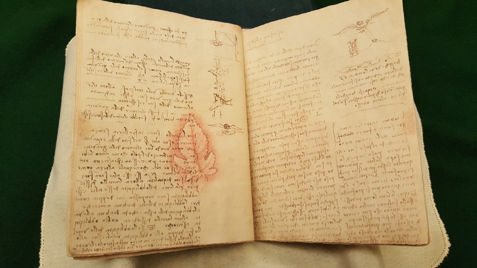 leonardo da vinci book