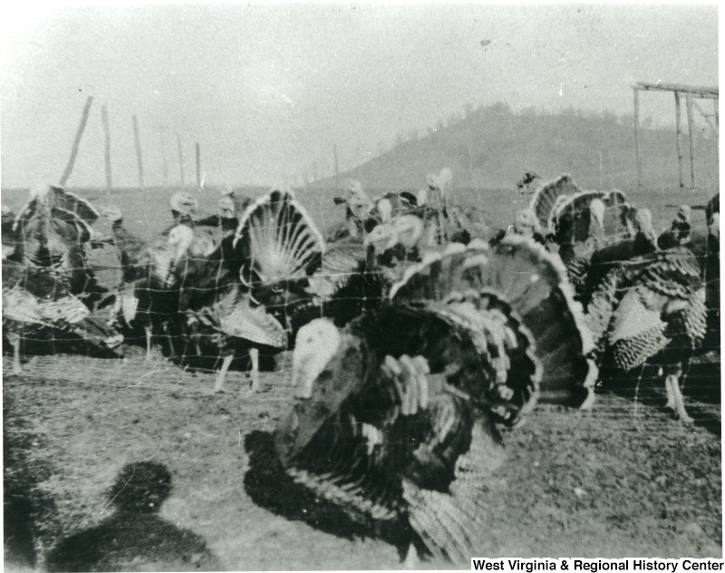 True facts about first thanksgiving