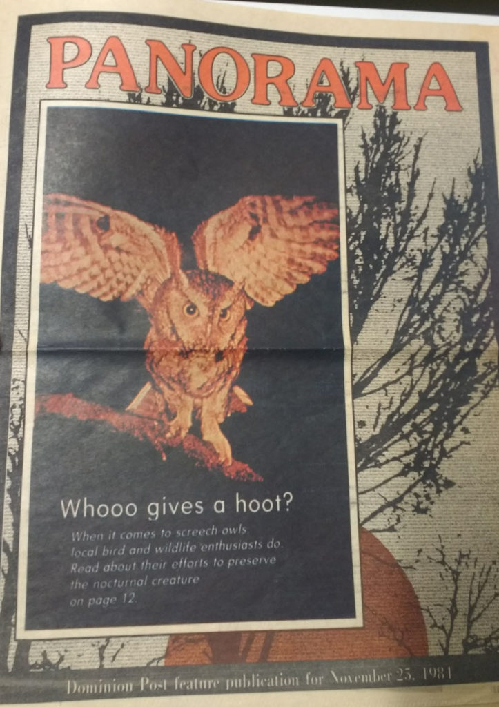 Newspaper "feature publication" cover with image of owl and headline "Whooo gives a hoot?"