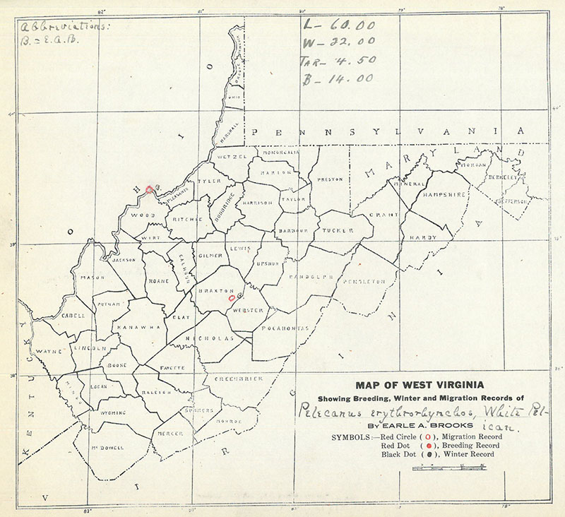 Map of West Virginia showing sighting spots for the White Pelican