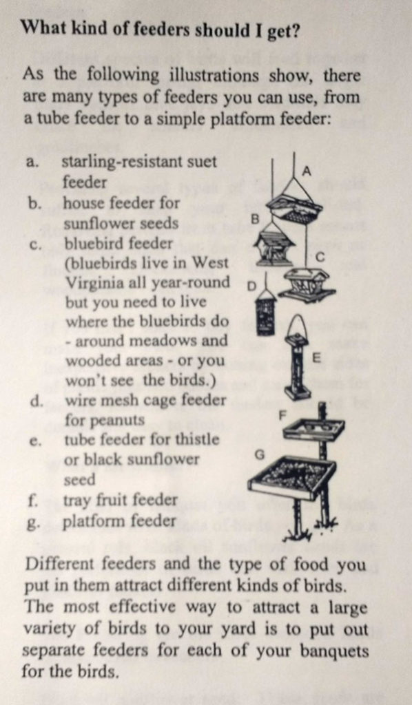 Clipping with heading "What kind of feeders should I get?" showing seven types of bird feeders