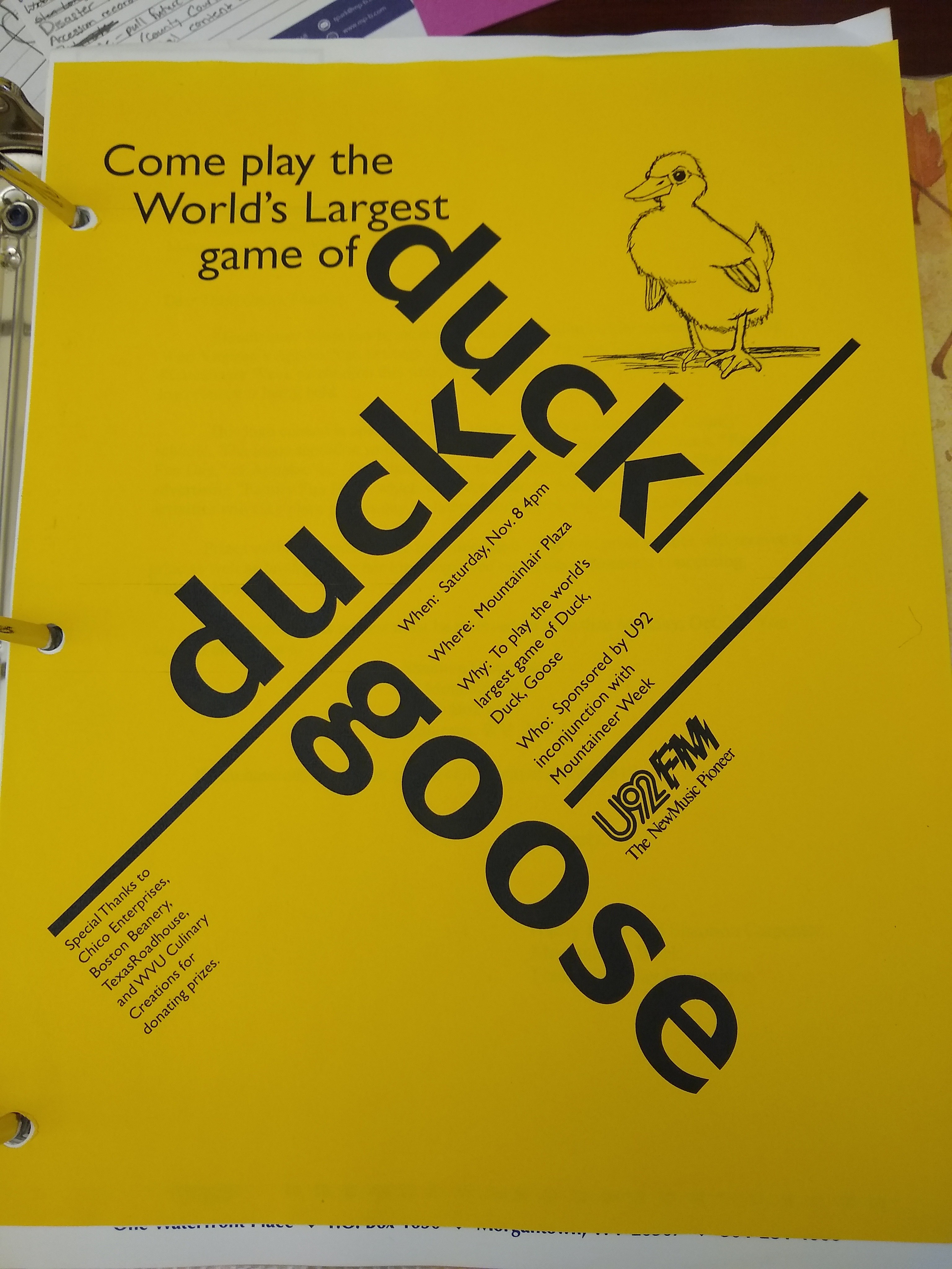 Yellow flyer advertising game of Duck Duck Goose