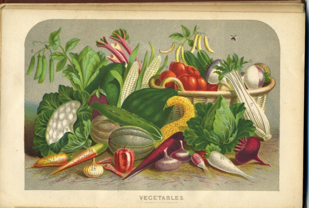 Book page labeled Vegetables, with many vegetables depicted in color