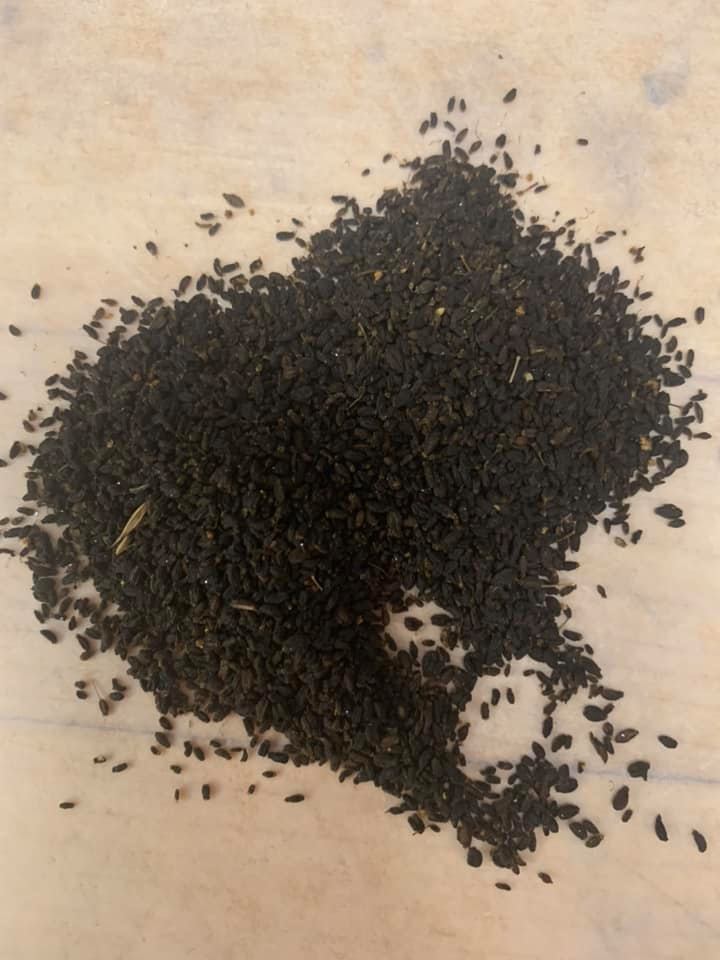 Pile of black anise seeds