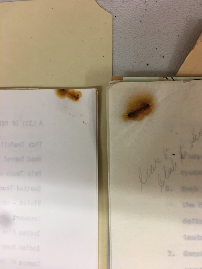 rust marks on paper, left by a rusty staple