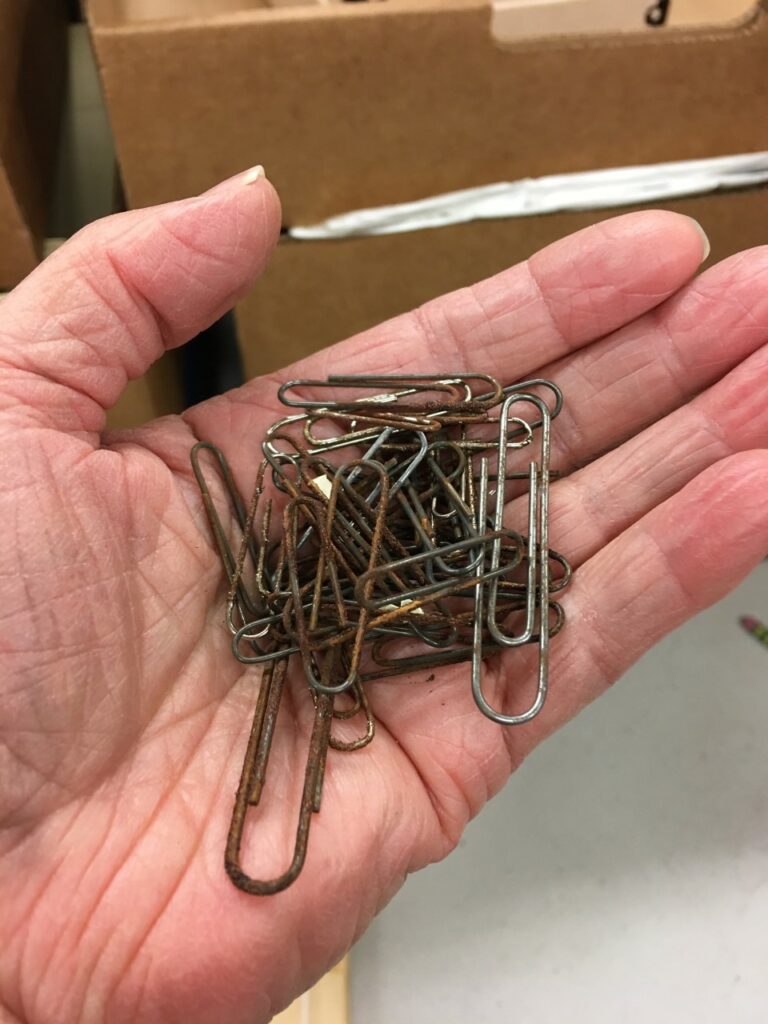 Hand full of rusted paperclips