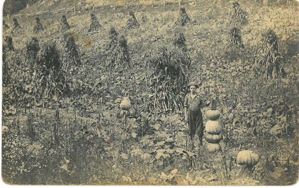 A young man stands in a field with stacked pumpkins and shocks of corn