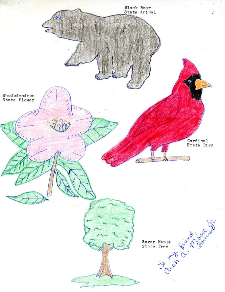 Drawings of a black bear, rhododendron, cardinal, and sugar maple