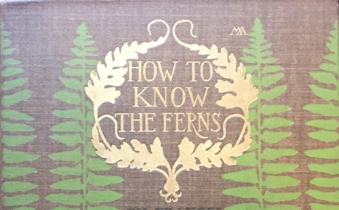 Cover of How to Know Ferns, showing green fern pattern and artist's initials