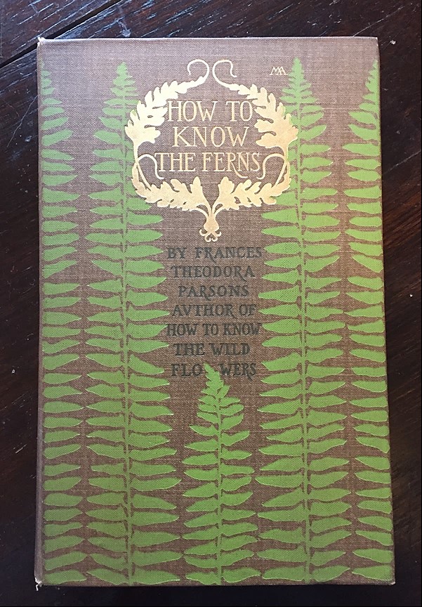 Cover of book, How to Know the Ferns