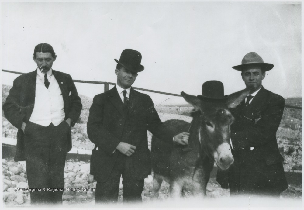 Thrre men with a mule in a hat