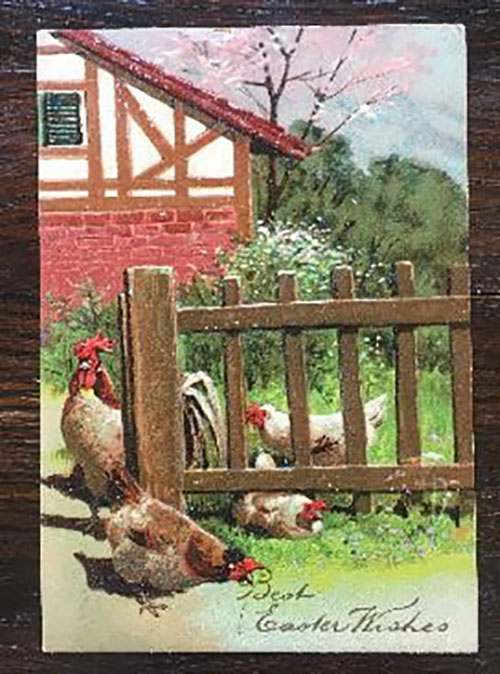 Easter postcard showing a rooster and hens 
