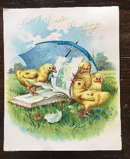 Easter postcard showing chicks reading a book under an umbrella