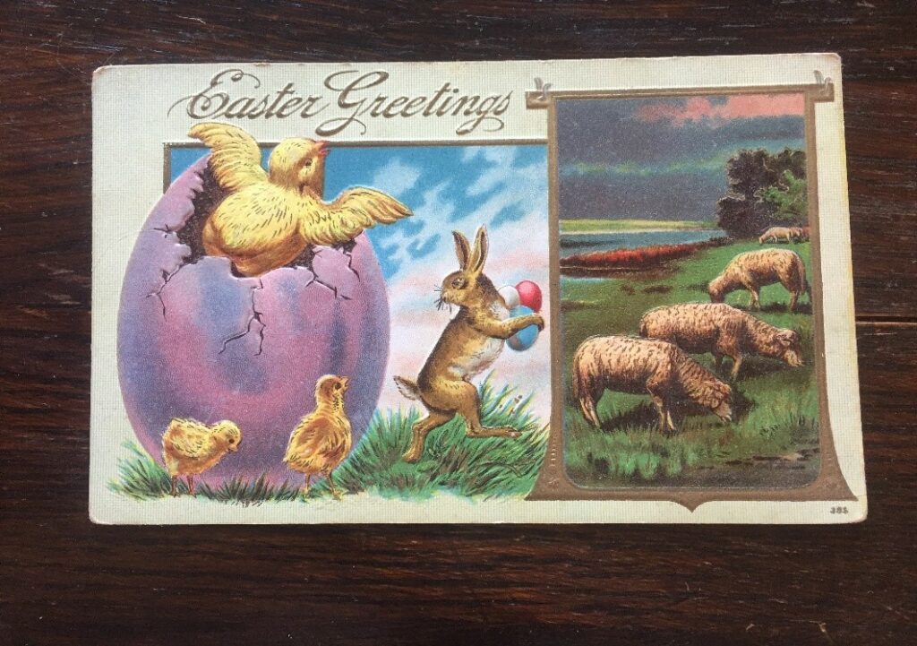 Easter postcard showing chick, bunny, and sheep in a field