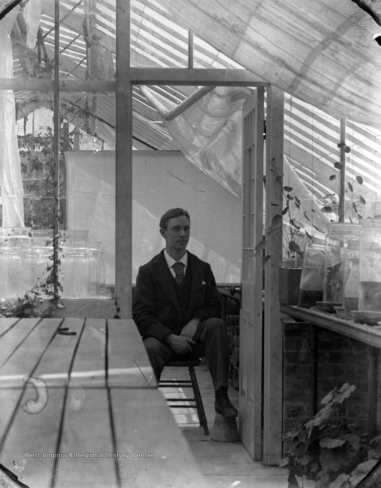 William E. Rumsey, an entomologist, sitting in a greenhouse.